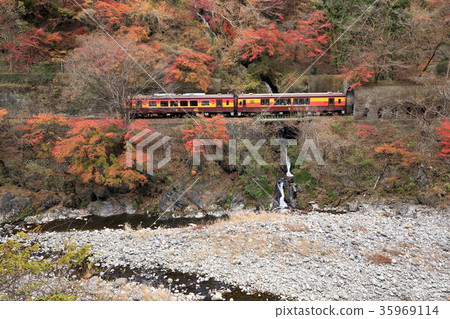 穿過秋天山谷的山谷鐵路 穿過秋天山谷的山谷鐵路 35969114