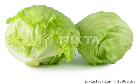 Green Iceberg lettuce on White Background 35969165