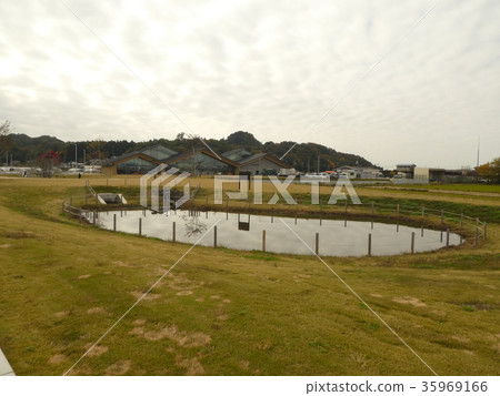 在Mashikodo站後面的一個池塘 35969166