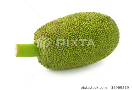 Jackfruit isolated on white background Jackfruit isolated on white background 35969219