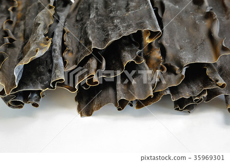 日高海帶 35969301