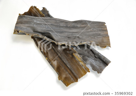 Hidaka kelp Hidaka kelp 35969302