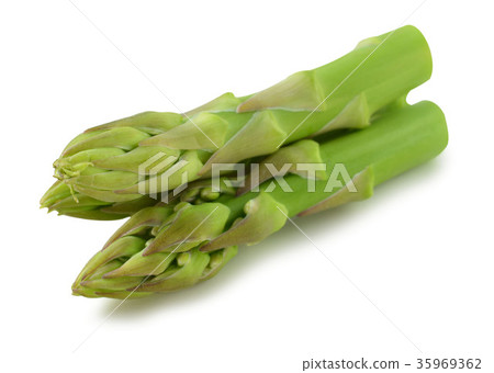 ripe green asparagus ripe green asparagus 35969362