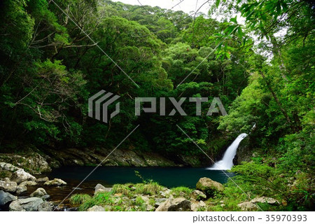 Waterfall of Amami Materia 06 Waterfall of Amami Materia 06 35970393