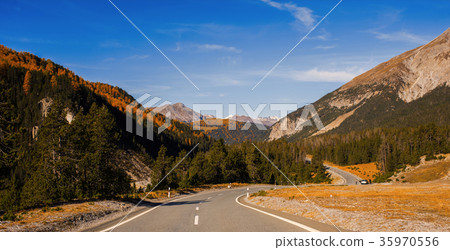 Alps and forest of national parc in Switzerland 35970556