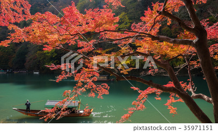 嵐山在秋天 嵐山在秋天 35971151