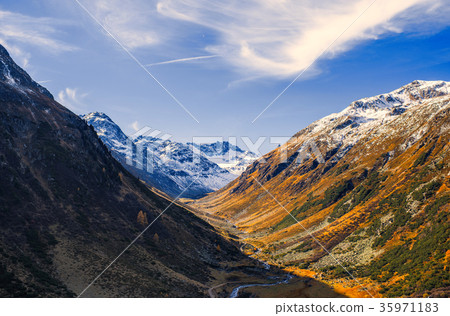 Alps and forest of national parc in Switzerland 35971183