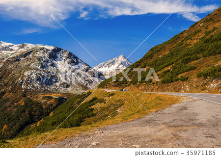 Alps and forest of national parc in Switzerland 35971185