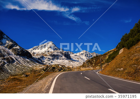 Alps and forest of national parc in Switzerland.  35971195