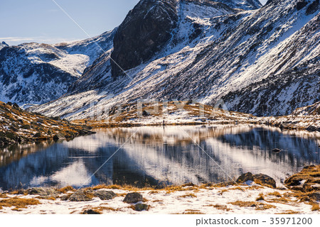 Alps and forest of national parc in Switzerland.  35971200