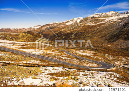 Alps and forest of national parc in Switzerland.  35971201