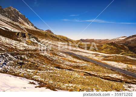 Alps and forest of national parc in Switzerland.  35971202