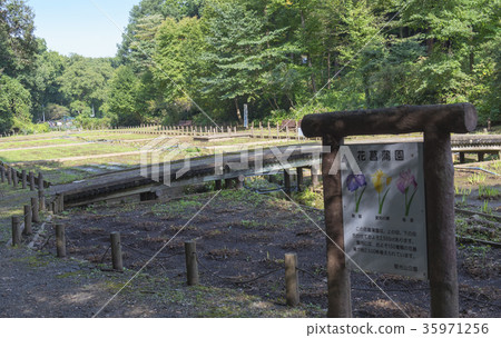 秋季花卉園（埼玉縣狹山市）用肥料處理 35971256
