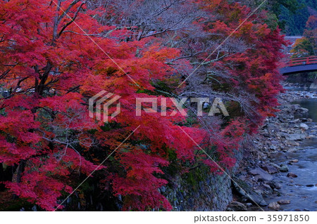 紅葉室樓寺(奈良縣宇田市) 紅葉室樓寺(奈良縣宇田市) 35971850