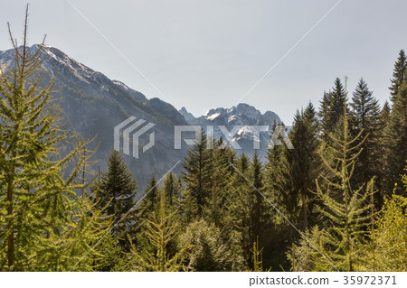 Alpine landscape in Western Carinthia, Austria. Alpine landscape in Western Carinthia, Austria. 35972371