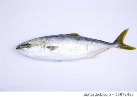 Buri ingredients 35972483