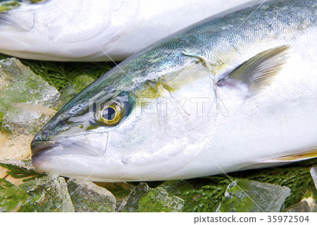 Buri ingredients 35972504