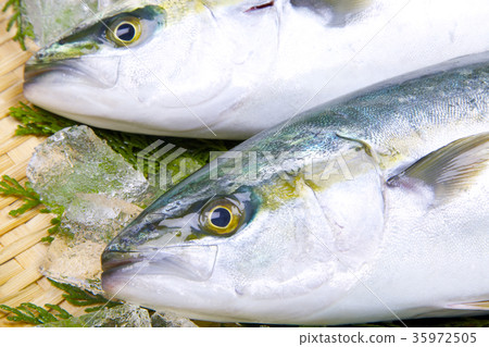 Buri ingredients 35972505