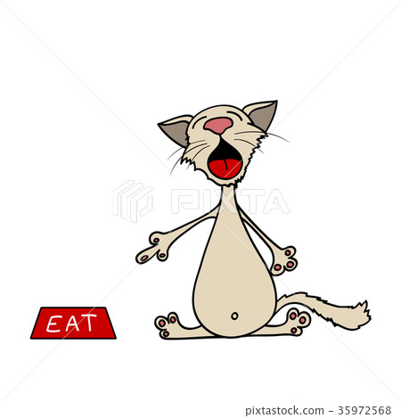 cat points his finger at an empty bowl 35972568