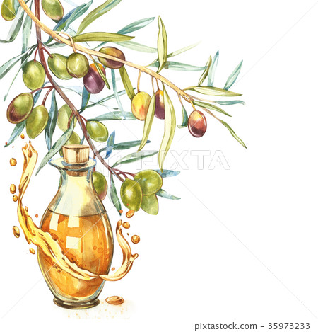 A branch of ripe green olives is juicy poured with 35973233