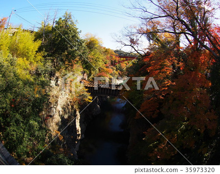 猿橋 猿橋 35973320