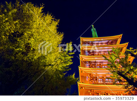 Senso-ji寺五層寶塔和銀杏 35973329