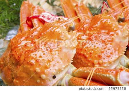 雪蟹成分 雪蟹成分 35973356