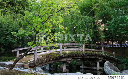郊區老木橋 郊區老木橋 35974261