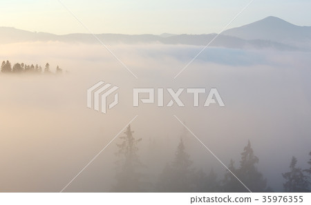 Autumn Carpathians, Ukraine. 35976355