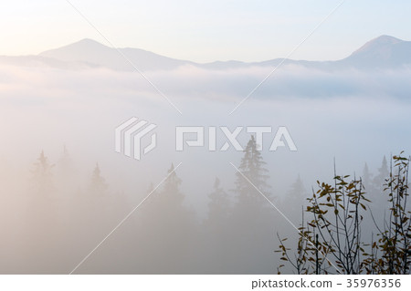 Autumn Carpathians, Ukraine. 35976356
