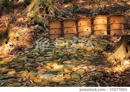 Shidan miso burial mound group: Cylindrical ring-waxes of Chusha burial mound (Aichi) 35977003