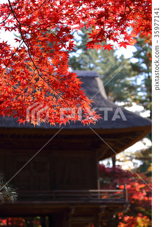 Hirabayashi寺門和寺廟 Hirabayashi寺門和寺廟 35977141