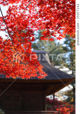 Hirabayashi寺門和寺廟 35977142