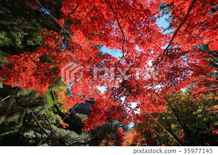 The gate and temple of Hirabayashi Temple 35977145