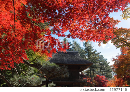 The gate and temple of Hirabayashi Temple The gate and temple of Hirabayashi Temple 35977146