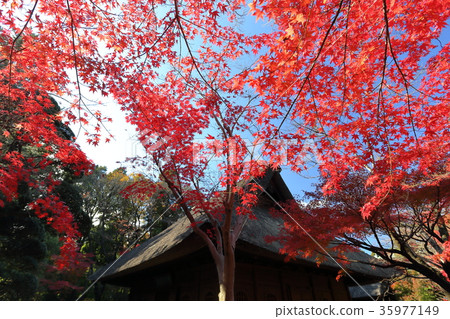 Hirabayashi寺廟的菩薩和菩薩 35977149