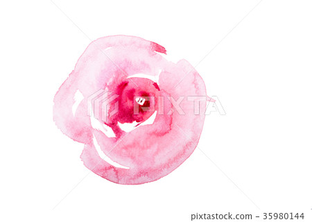 watercolor drawing of fresh garden flowers, summer watercolor drawing of fresh garden flowers, summer 35980144