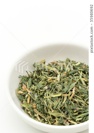 茶紫花苜蓿：紫花苜蓿葉 35980692