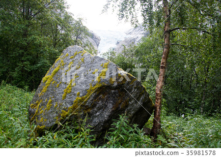 Briksdalsbreen, Sogn og Fjordane, Norway 35981578
