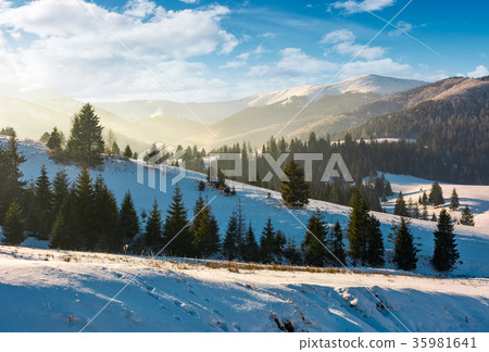 forested hills of mountain ridge in winter 35981641