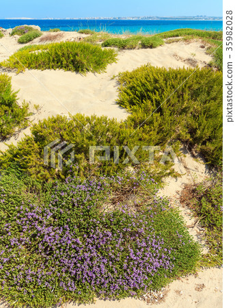 Beach Punta della Suina, Salento, Italy 35982028
