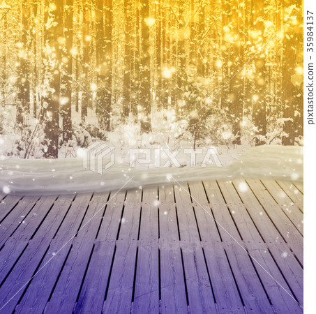 winter forest with snow 35984137