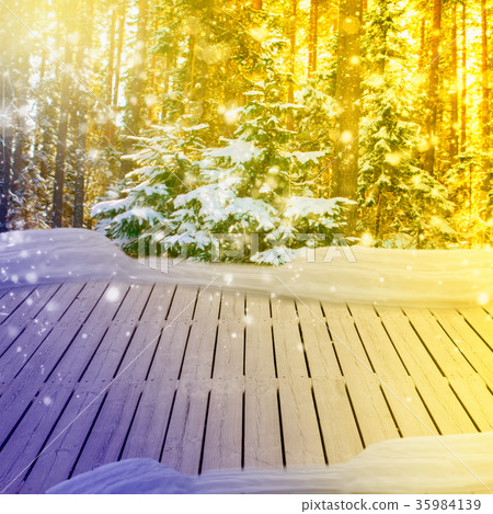 winter forest with snow 35984139