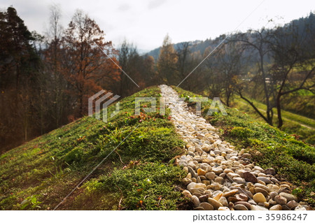 Top of green living roof covered with vegetation Top of green living roof covered with vegetation 35986247