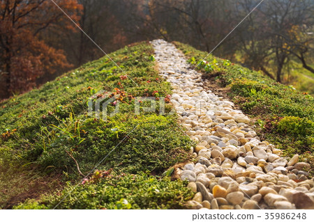Top of green living roof covered with vegetation Top of green living roof covered with vegetation 35986248