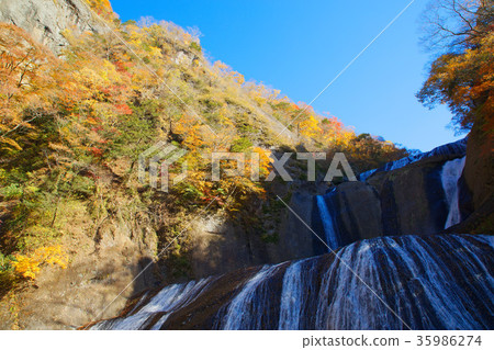Fukurodon falls autumn leaves Fukurodon falls autumn leaves 35986274