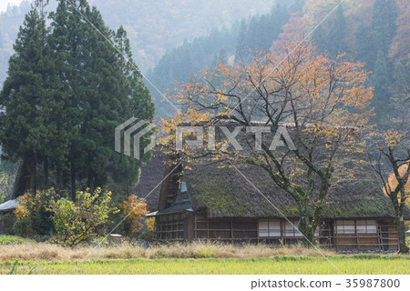 菅沼府聯合棕櫚村 35987800