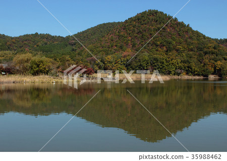 京都弘澤池塘 35988462