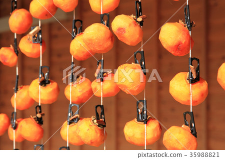 Dried persimmon Dried persimmon 35988821