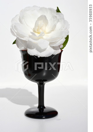Japanese style image material, Yamacha flower 35988933
